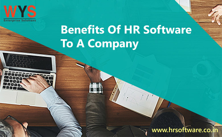 How Can HR Software Benefit a Company